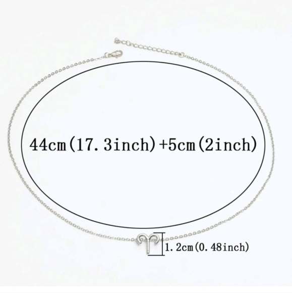 NWT Zodiac Sign Pendant Necklace in Silver - Picture 2 of 4